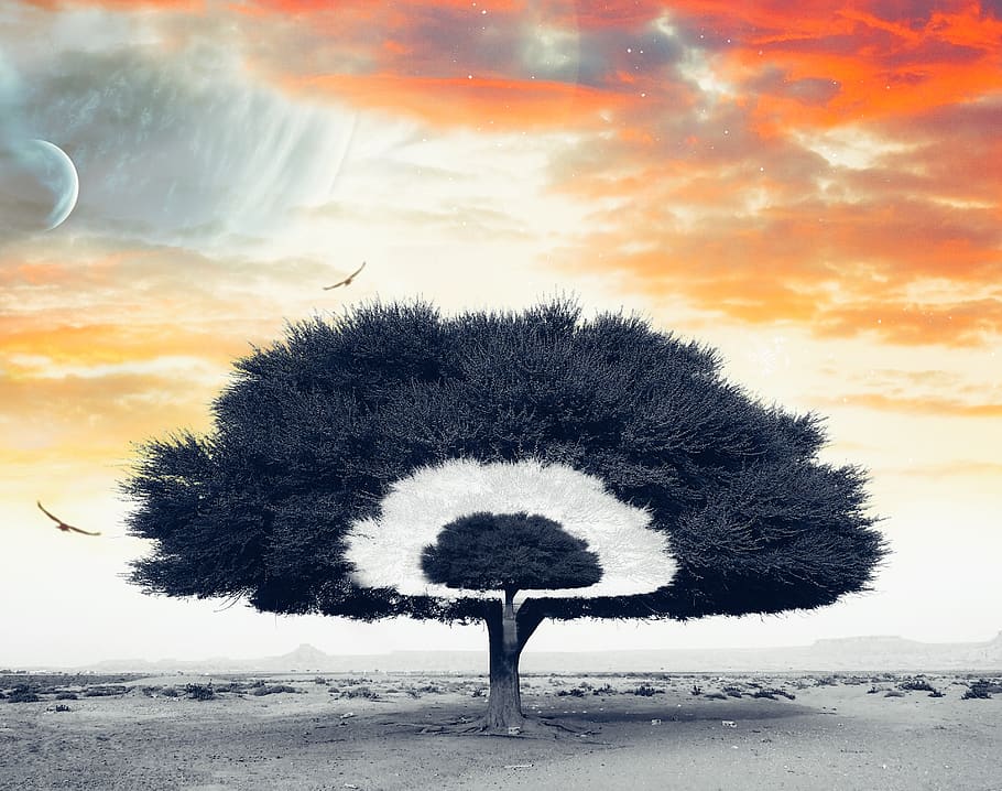 creativity, abstract, artistic, sky, cloud - sky, land, nature HD wallpaper