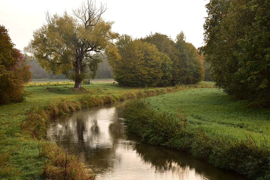 river, bach, flow, autumn, quiet, still, lonely, green, tree HD wallpaper