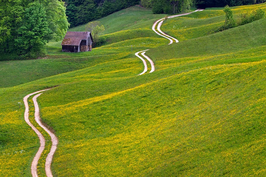 away, meadow, trail, hut, landscape, green, green color, scenics - nature HD wallpaper