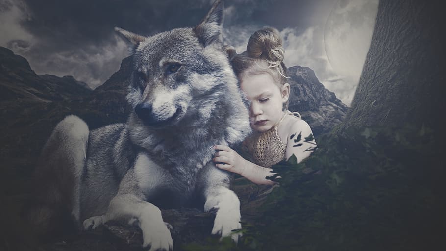 wolf, girl, child, moon, night, animal, landscape, love for animals, HD wallpaper