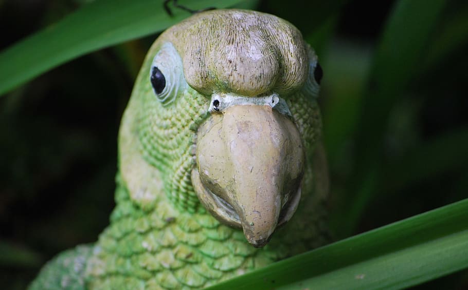 figure, parrot, deco, animal themes, animal wildlife, close-up HD wallpaper
