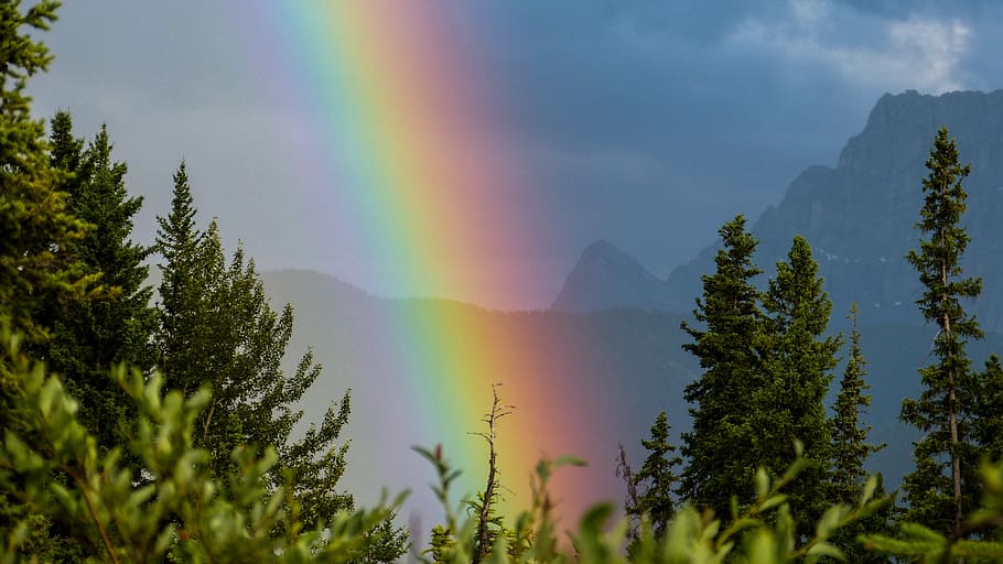 canada, canmore, mountains, alberta, spring, rain, rainbow HD wallpaper