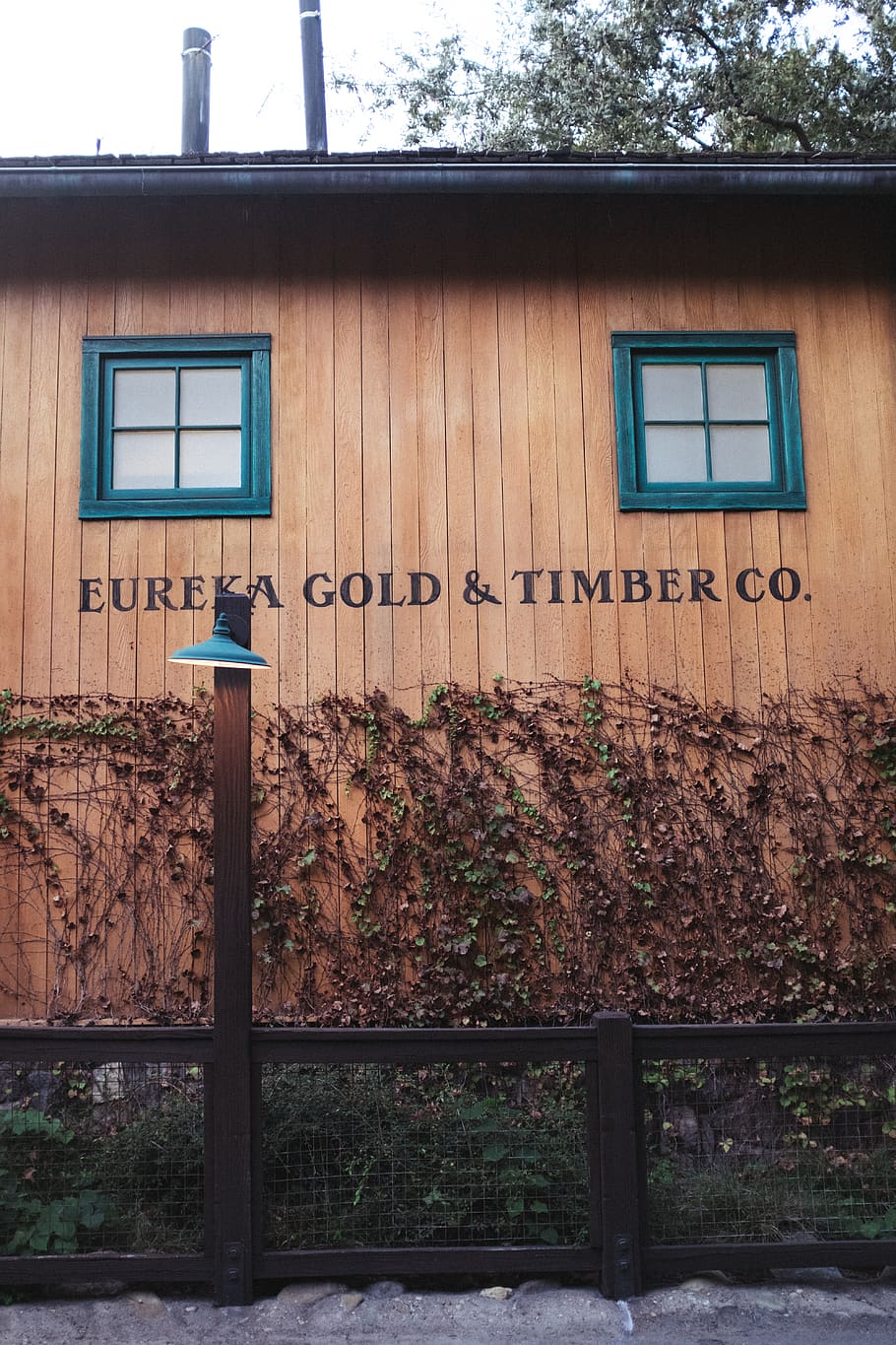 timber, forest, gold, cabin, trees, architecture, text, built structure HD wallpaper