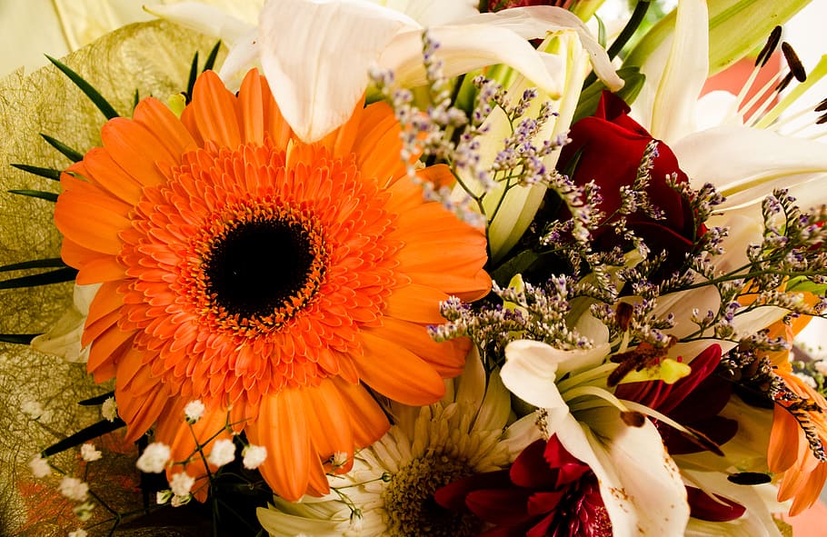 flower, flowering plant, freshness, vulnerability, bouquet HD wallpaper