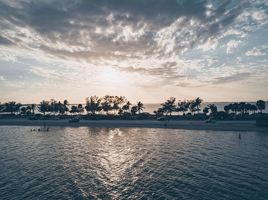 Body of Water and Trees, beach, landscape, ocean, reflection HD wallpaper