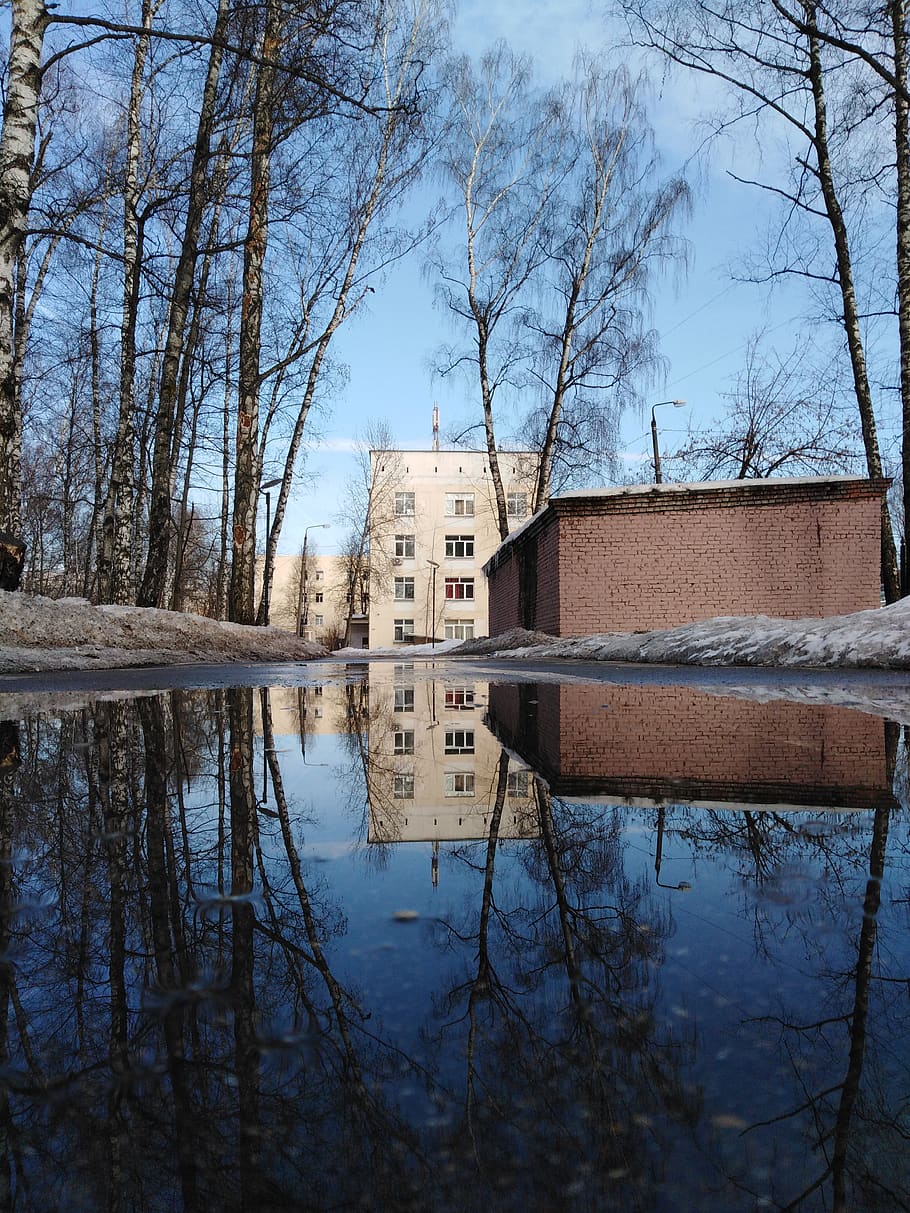reflection, water, nature, sky, calm, reflections, mirroring HD wallpaper
