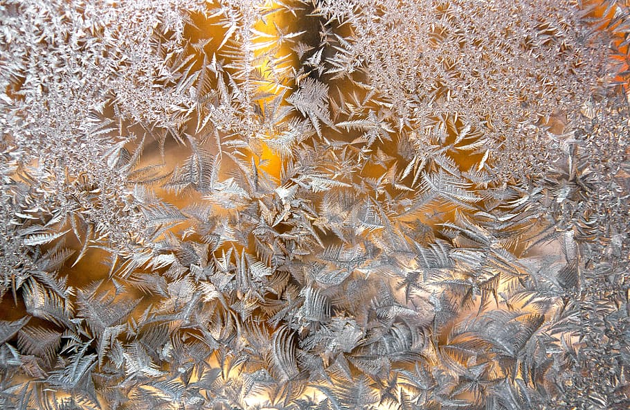 frost, autumn, window cold, ice, november, fall, icy, winter HD wallpaper