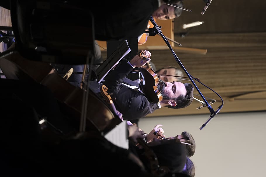 people playing violin, men, indoors, skill, real people, males HD wallpaper