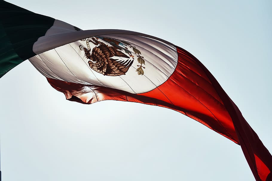 flag of Mexico, symbol, american flag, colors, animal, bird, emblem