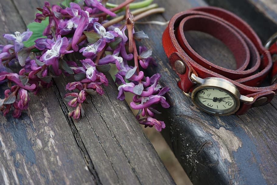 vintage, collection, watch, clock, time, object, flower, old HD wallpaper