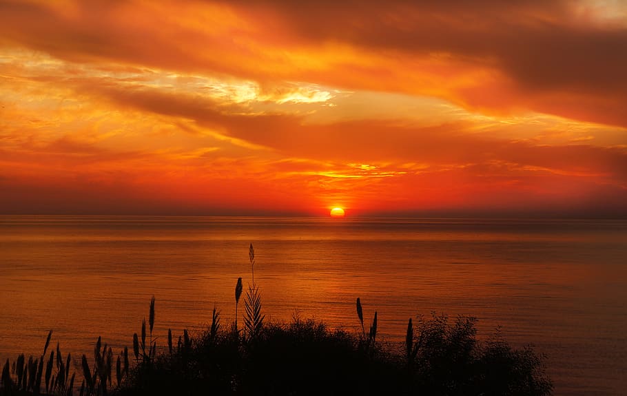 Hays Silhouette Near Ocean during Sunset, clouds, dawn, horizon HD wallpaper