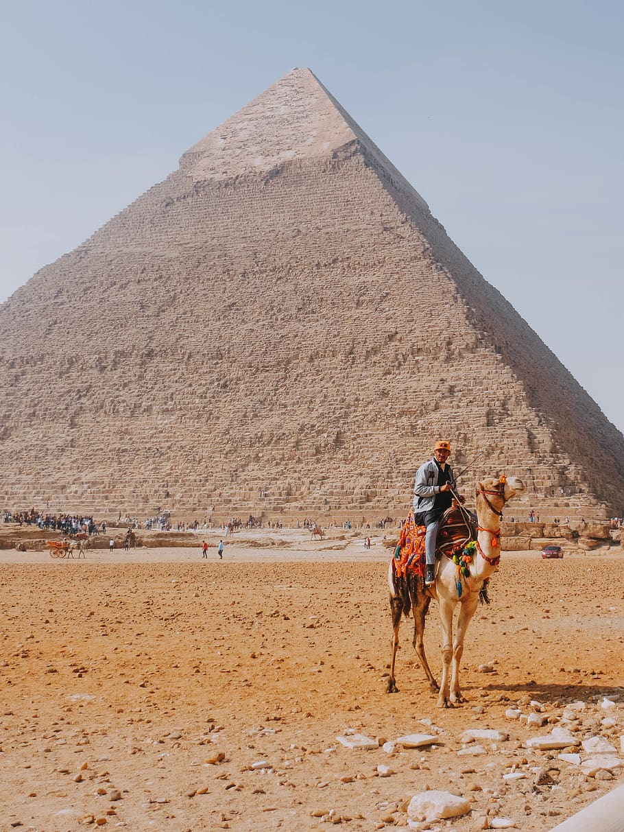 pyramid of Egypt, architecture, building, person, human, horse