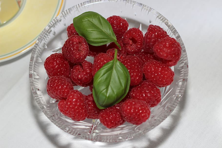 berries, raspberries, table decorations, fruit, fruits, basil HD wallpaper