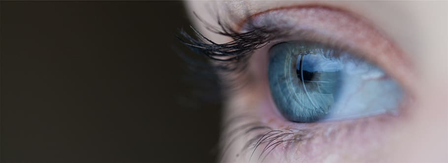 eyes, eyesight, human eye, sensory perception, eyelash, extreme close-up HD wallpaper