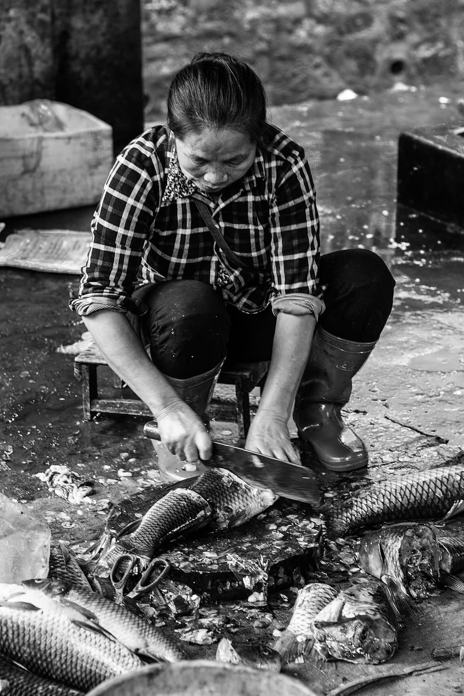 woman sitting and slicing fish, person, human, clothing, apparel, HD wallpaper