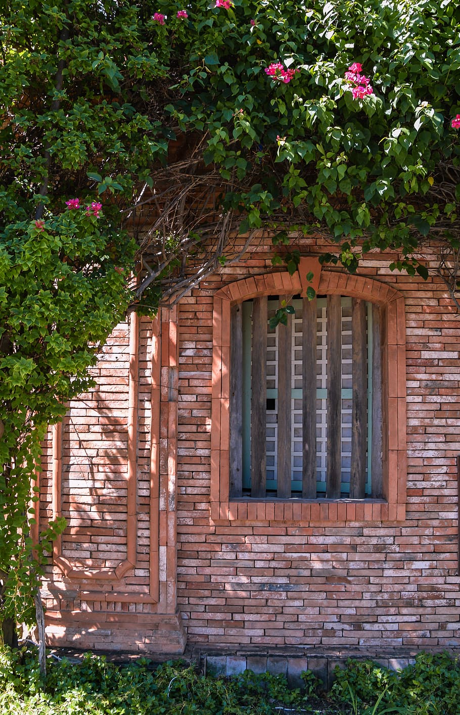 brick, plant, philippines, path, walkway, ivy, las casas, bataan HD wallpaper