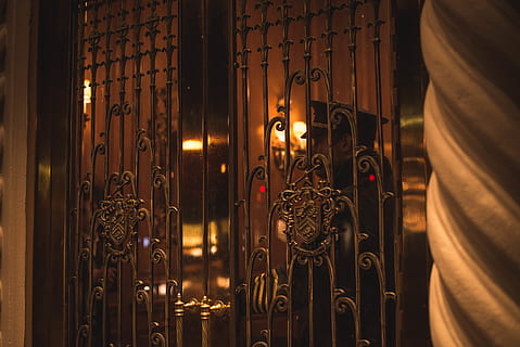 black metal scrolled gate, person, human, door, dungeon, blossom HD wallpaper