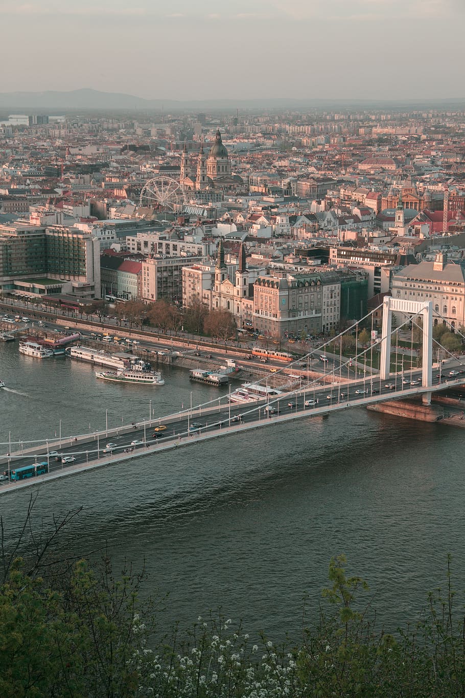 hungary, budapest, travel, historic, old town, river, erzsébet híd