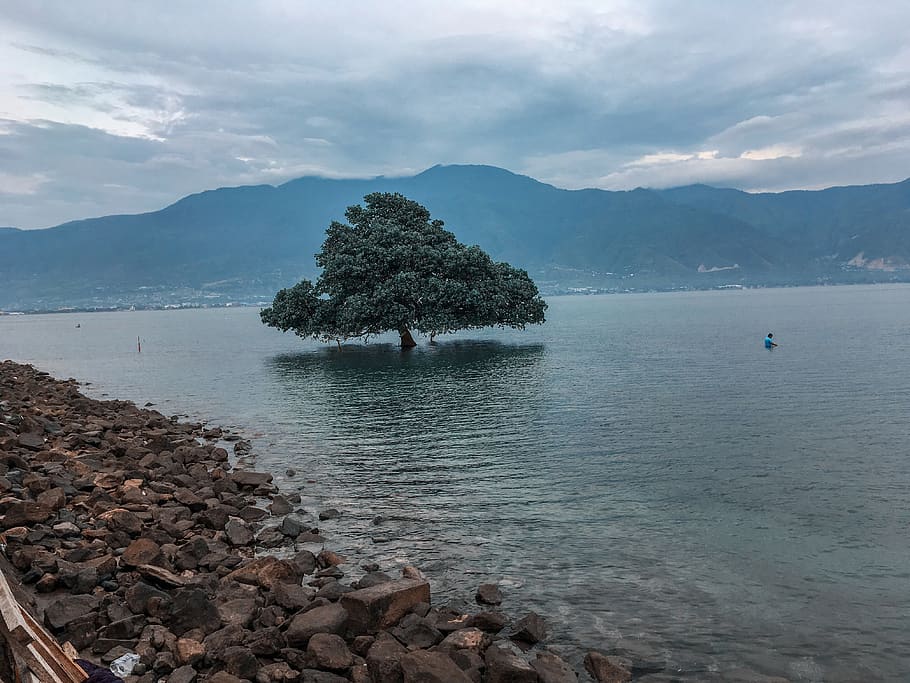 indonesia, palu, water, mountain, beauty in nature, scenics - nature HD wallpaper