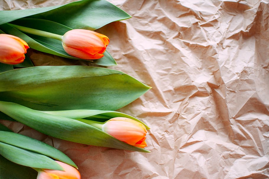 Orange Flowers on Brown Surface, beautiful, bright, close-up HD wallpaper