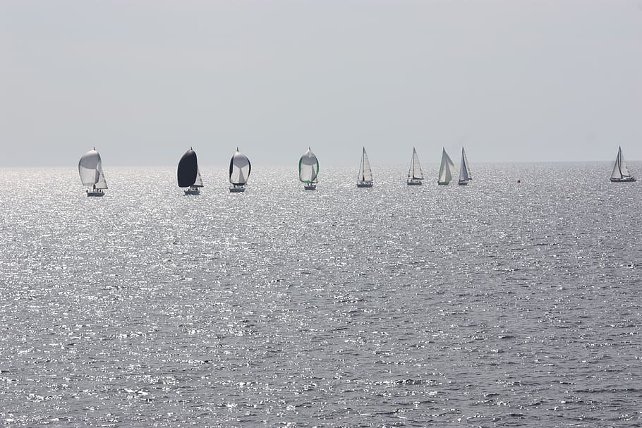 sails, sea, water, nautical vessel, waterfront, transportation HD wallpaper