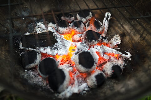 Selective Focus Photography of Burnt Charcoal, ash, barbecue HD wallpaper