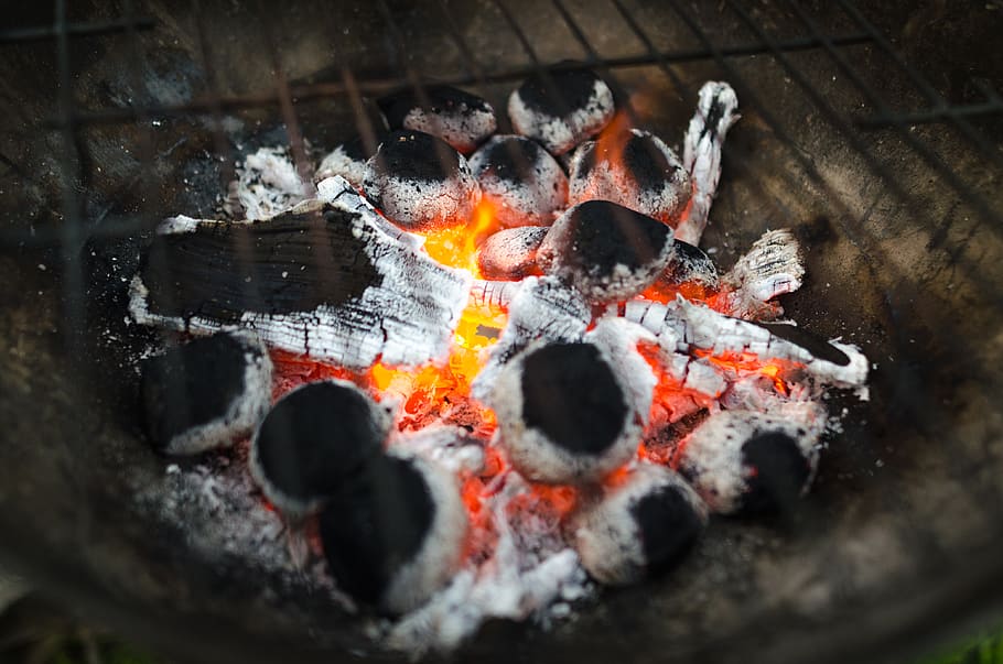 Selective Focus Photography of Burnt Charcoal, ash, barbecue HD wallpaper