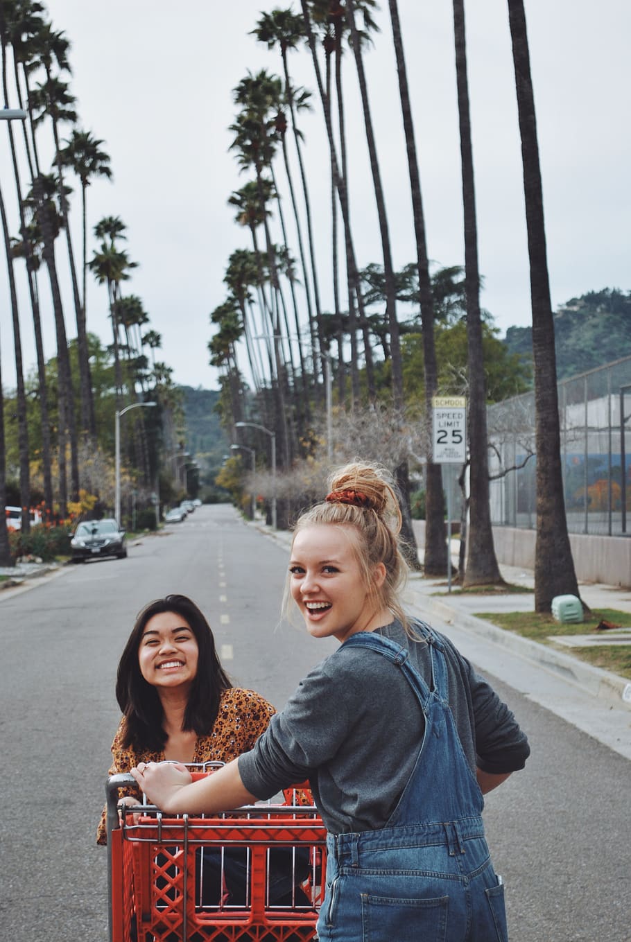 two women smiling while pushing cart on pathway, person, human HD wallpaper