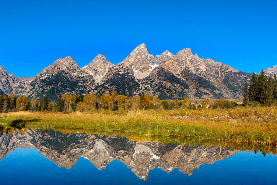 green trees and mountain, water, reflection, scenics - nature HD wallpaper