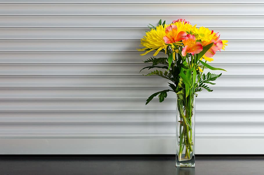 yellow and red petaled flower in clear glass vase, floral, flower arrangement, HD wallpaper