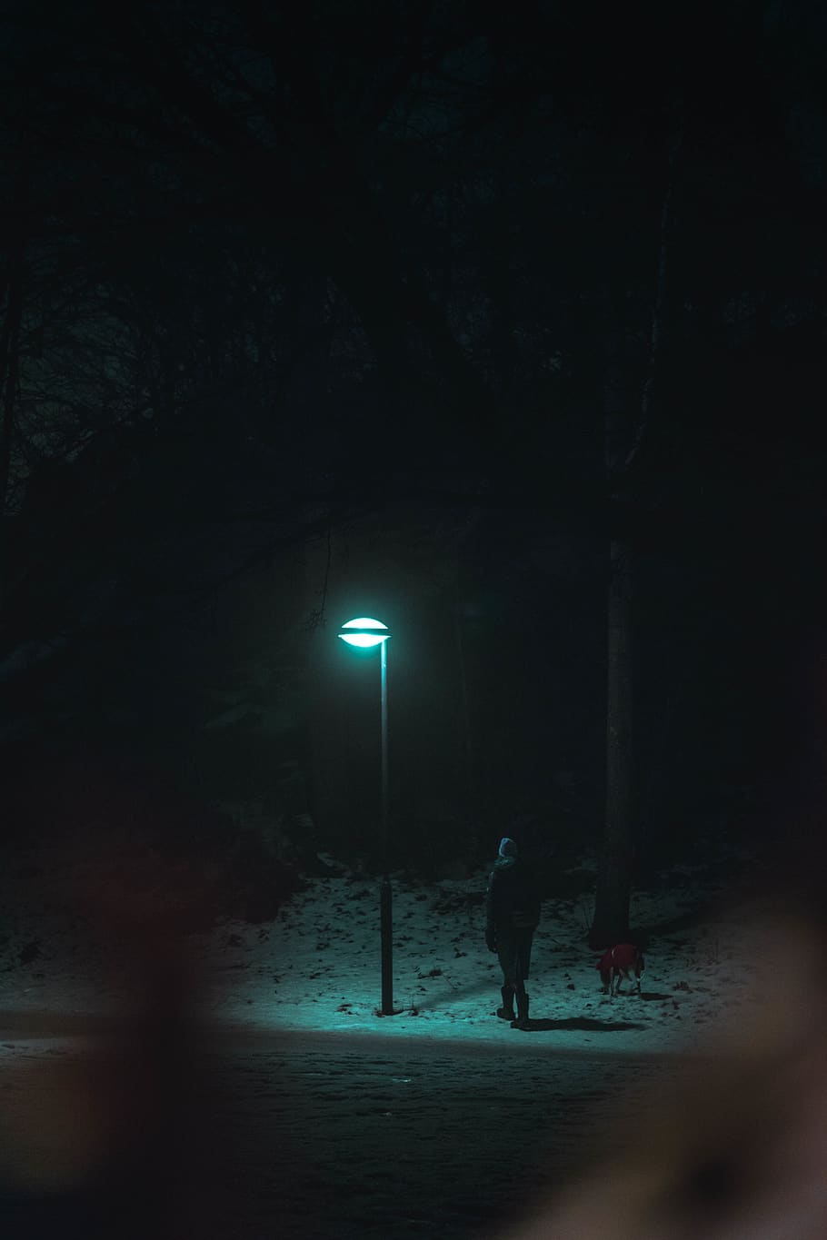 man standing underneath light, lamp post, human, person, night
