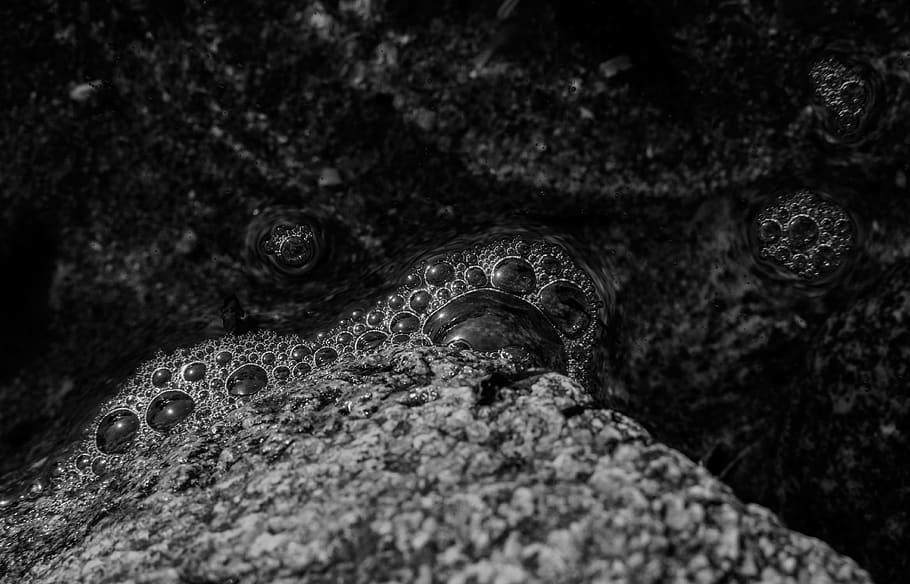 grayscale photography of water bubbles, sea, alligator, reptile, HD wallpaper