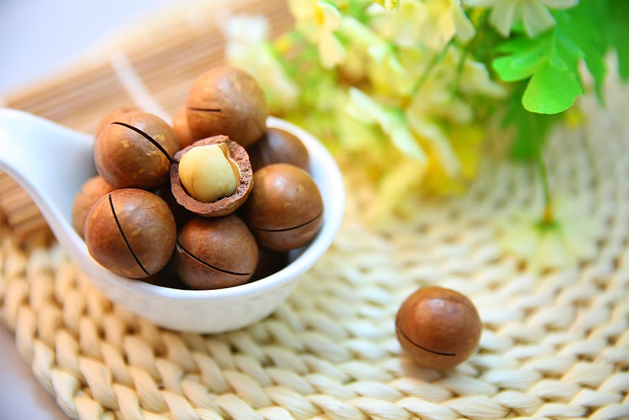 Brown Nuts in White Scoop, bowl, core, crack, crunch, crunchy HD wallpaper