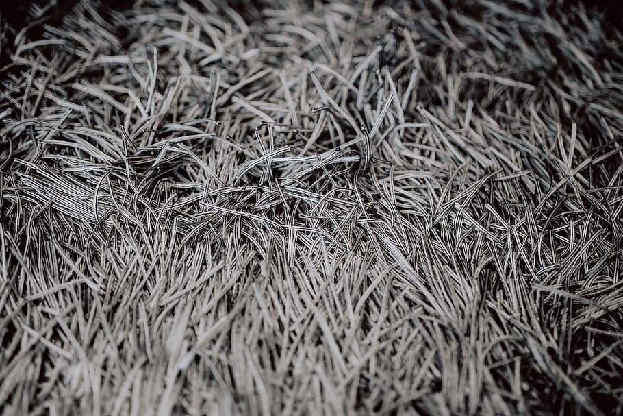 Grey rug texture closeup, carpet, full frame, backgrounds, no people HD wallpaper