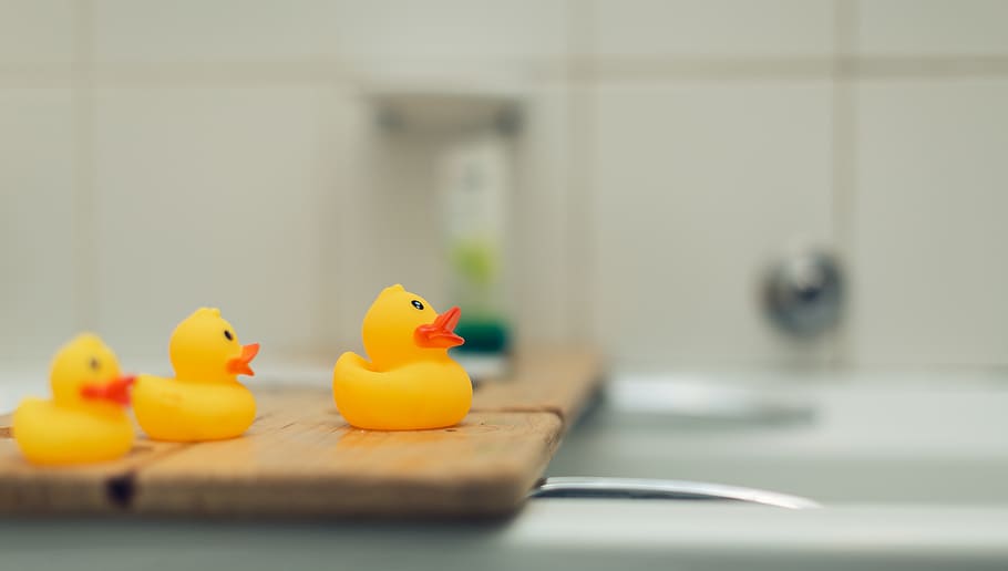 three yellow rubber duckies, indoors, domestic room, toy, domestic bathroom HD wallpaper