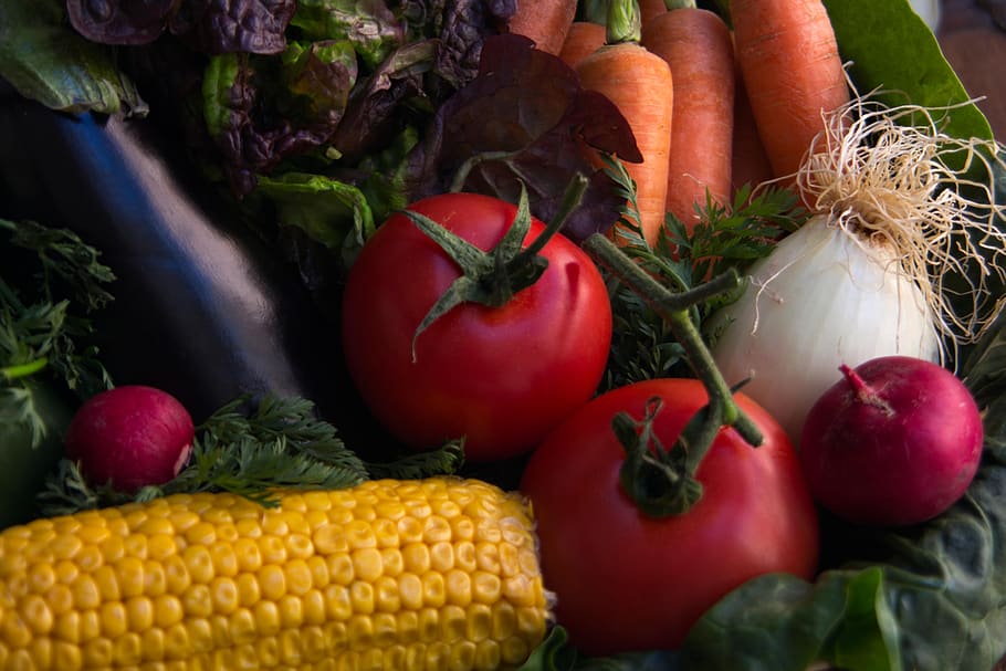 tomato, corn, onion, eggplant, carrot, vegetables, fresh, healthy HD wallpaper