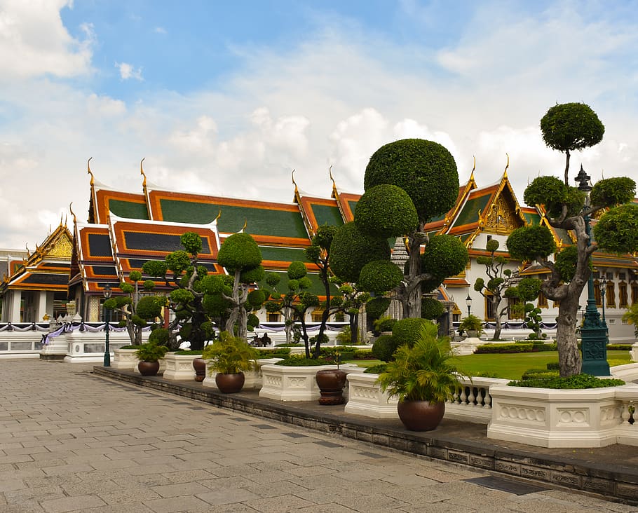 green-leafed plants under blue sky, cloud - sky, architecture HD wallpaper