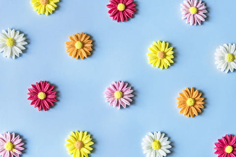 Flower Decor Lot, art, artwork, background, beautiful, blue background HD wallpaper