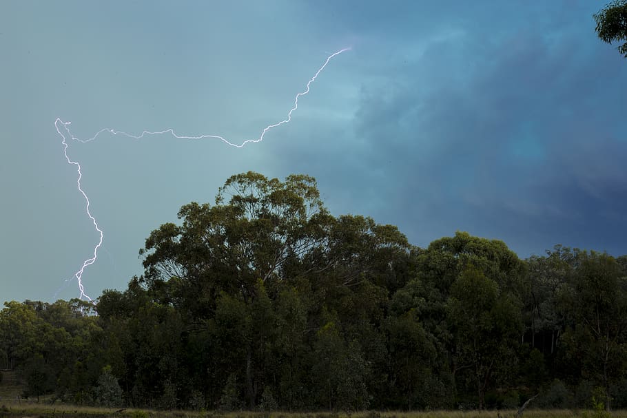 Lightning Above the Green Trees, clouds, color, dangerous, energy HD wallpaper