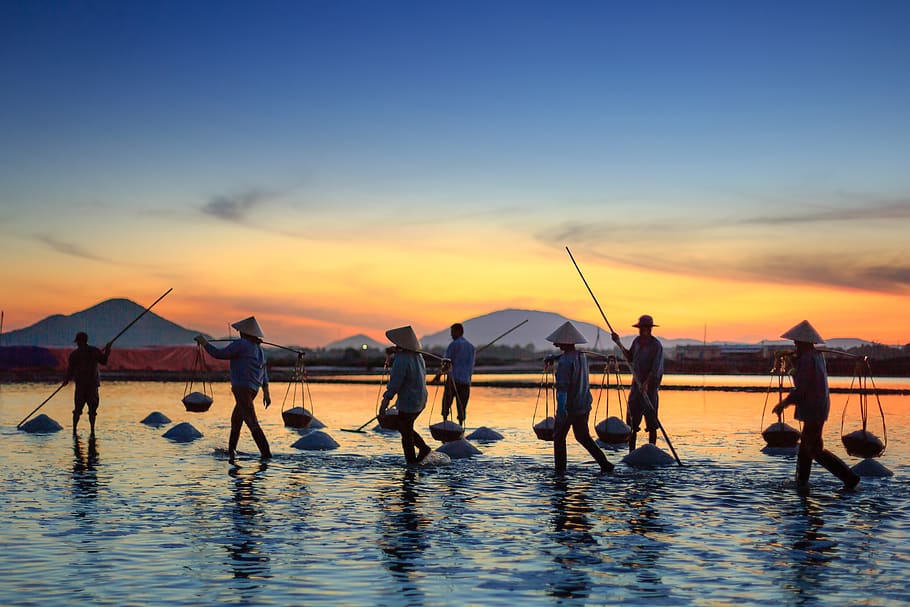 People Carrying Basket Standing in Body of Water during Golden Hour HD wallpaper