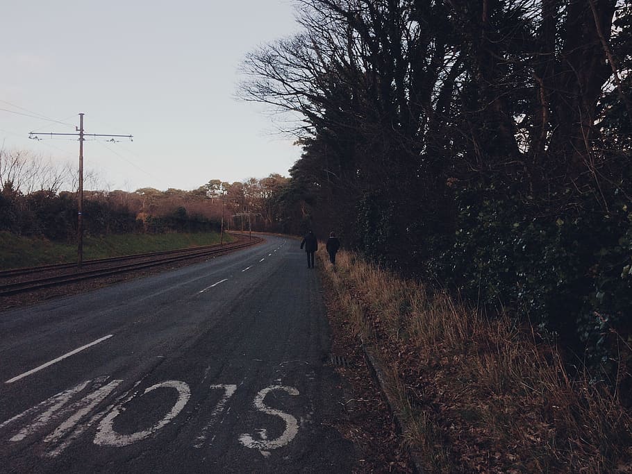 trees, road, country, forest, greens, winter, people, family HD wallpaper