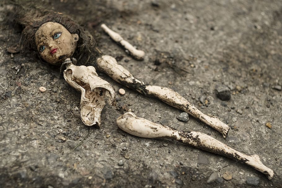 female doll, no people, bone, day, nature, high angle view, selective focus HD wallpaper