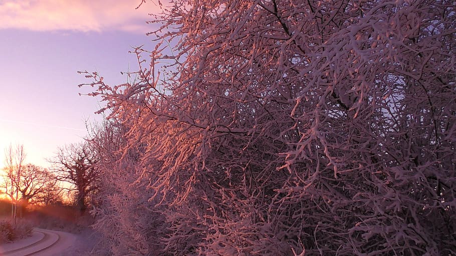 wintry, winter, snow, cold, winter magic, snow landscape, winter impressions HD wallpaper
