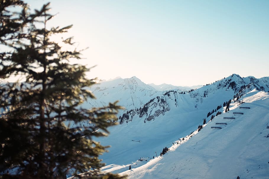 mittelberg, austria, warm, sky, snow, mountains, sun, trees HD wallpaper