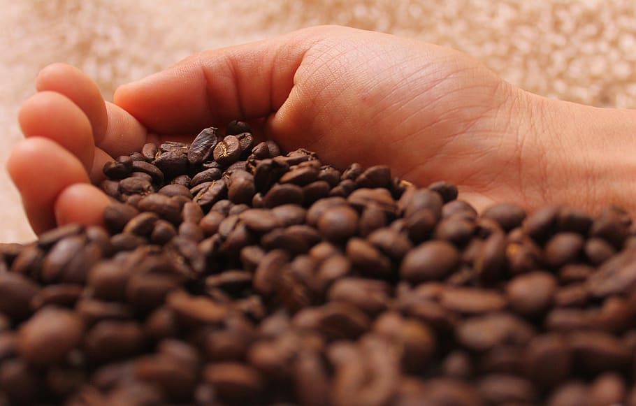 coffee, drink, caffeine, cafe, fresh, drinks, cappuccino, aroma HD wallpaper