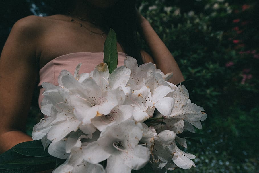 plant, one person, midsection, holding, nature, adult, day HD wallpaper