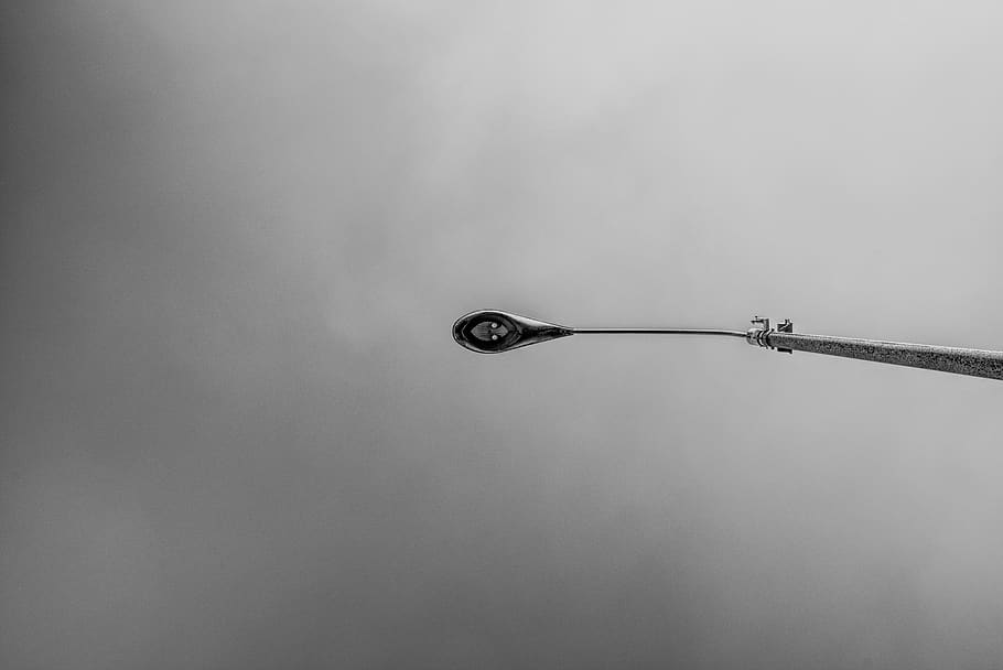 tall lamp post under grey cloudy sky, berlin, bird, animal, flying HD wallpaper