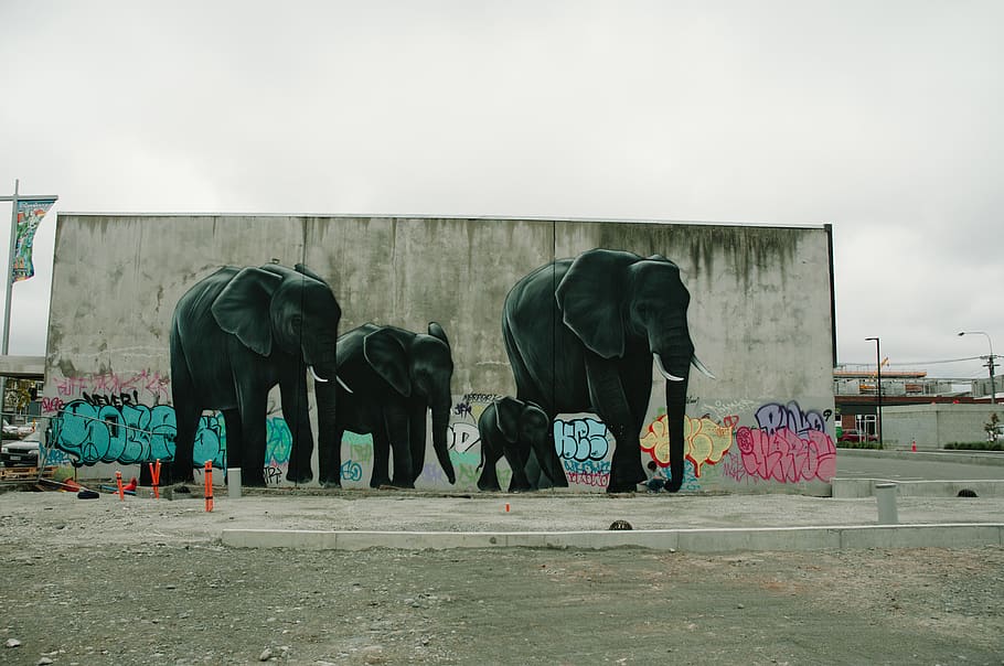 hd-wallpaper-new-zealand-christchurch-street-art-elephants-day