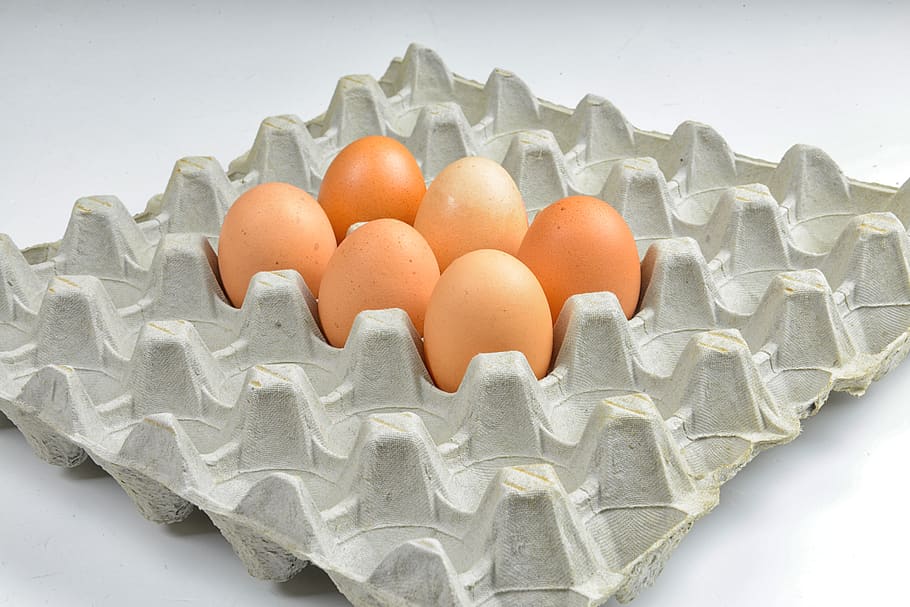 egg, hen's egg, easter, protein, egg packaging, eggshell, food HD wallpaper