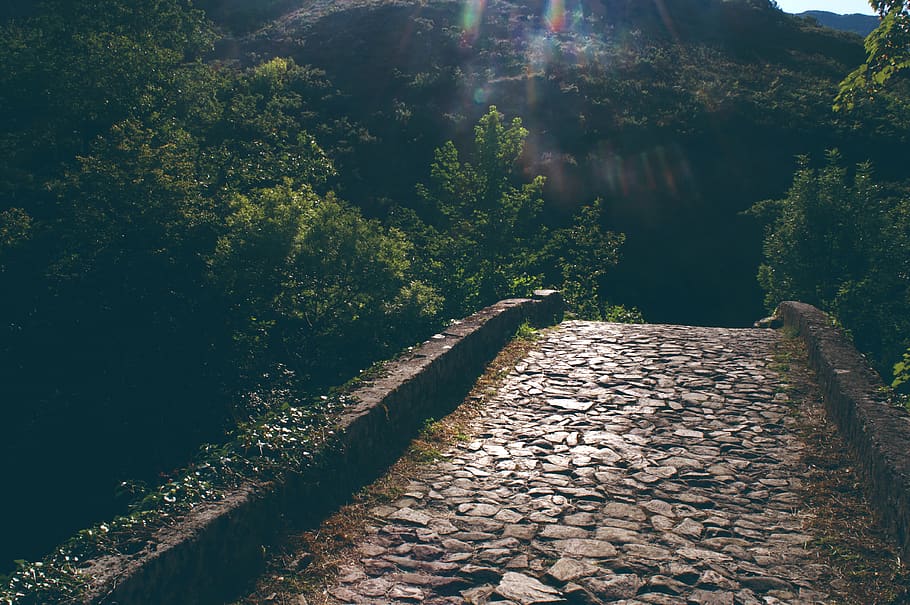 rock bridge with forest during day, tree, plant, no people, nature HD wallpaper